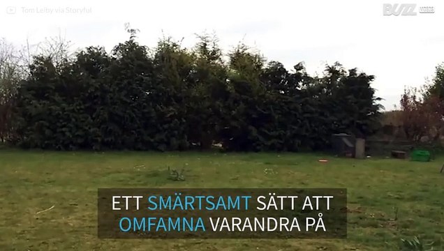 Killar omfamnar varandra på ett smärtsamt sätt