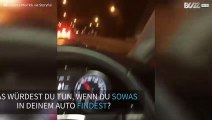 Riesenspinne bittet um Mitfahrgelegenheit und versetzt eine Frau in Angst und Schrecken