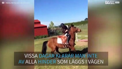 Envis häst vägrar hopp över hinder