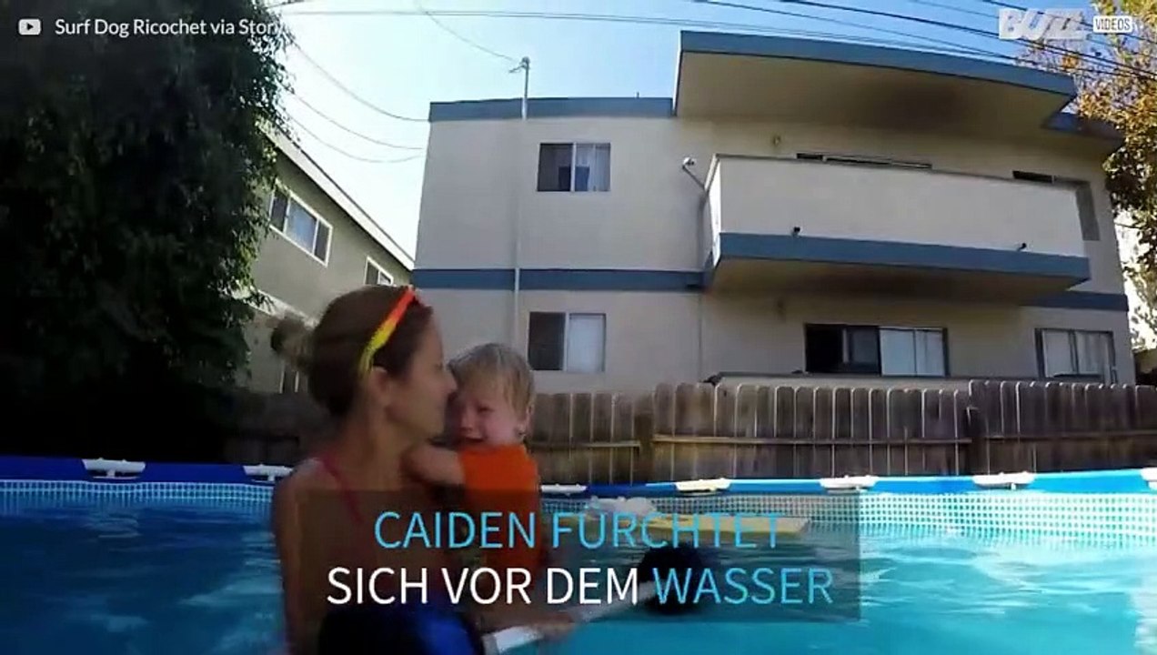 Hund hilft autistischem Jungen