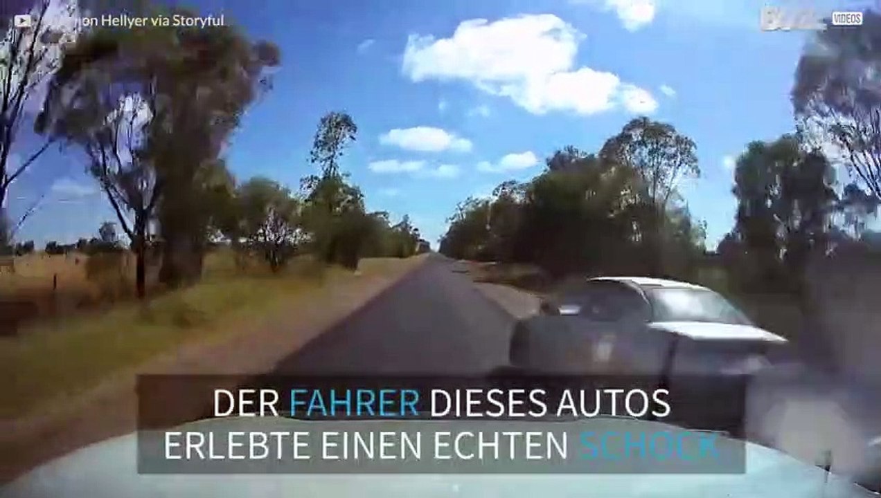 Krasses Überholmanöver endet im Graben