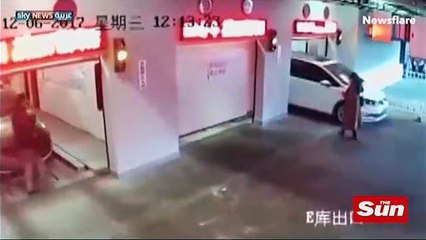 vt-102723sa-web-texting-moth_2017-12-09_103112