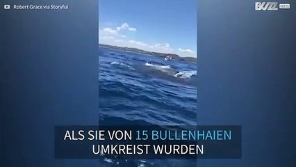 Angler von Haien umkreist