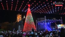 بيت لحم تزدان بشجرة عيد الميلاد
