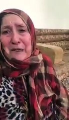 استغاثة أم اختفى أبناؤها الخمسة ببحر تبوك - 1