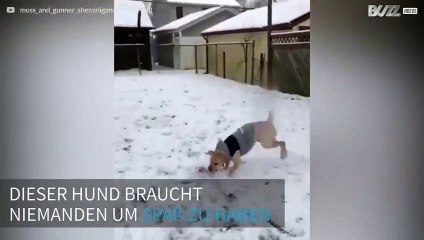 Dieser Hund bleibt bei Schnee nicht drinnen!