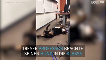 Professor bringt seinen Hund mit zur Prüfung, um die Studenten zu beruhigen