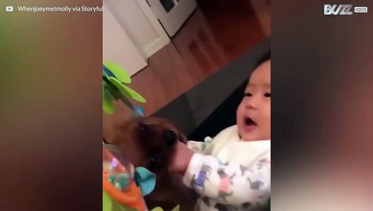 Babies und Welpen die spielen sind ein
