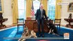 New Details Emerge About Incident With Biden’s German Shepherd