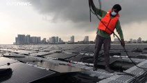 Singapur karbon ayak izini güneş enerjisiyle azaltmayı hedefliyor