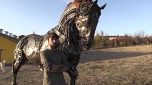 تحفة تركية حصان من 7 آلاف قطعة خردة _ أرقام تركيا