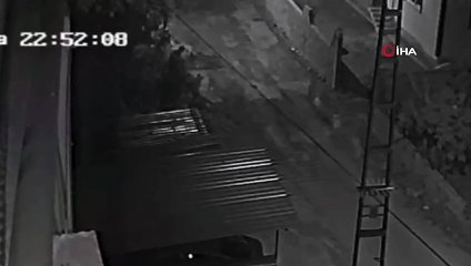 Sokak köpeğini pompalı tüfekle öldürdü