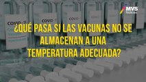 Manejo, almacenamiento y eficacia de las vacunas contra COVID-19