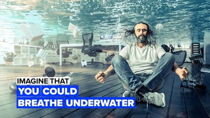 Imagine you could breathe underwater
