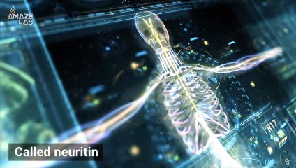 Your Own Body Might Hold the Cure For Your Allergies