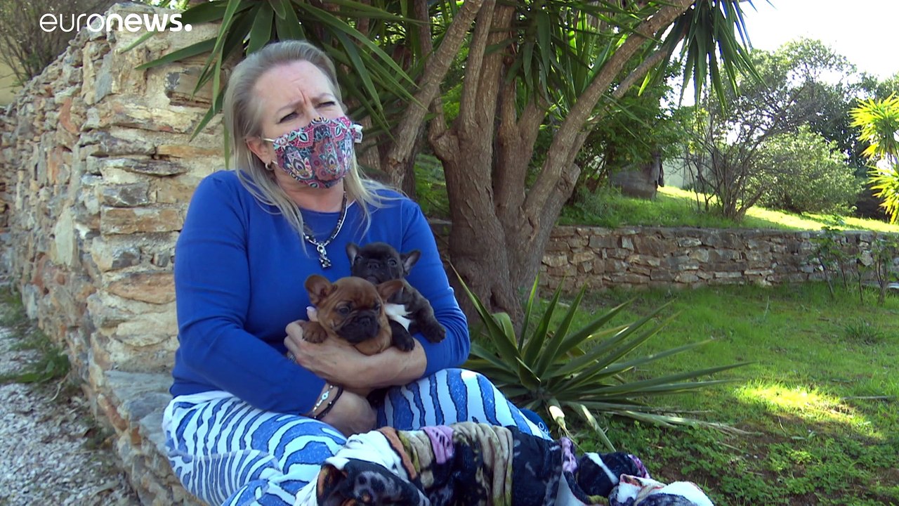 Schärferer Tierschutz in Griechenland