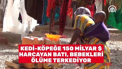 Kedi-köpeğe 150 milyar $ harcayan Batı, bebekleri ölüme terk ediyor!