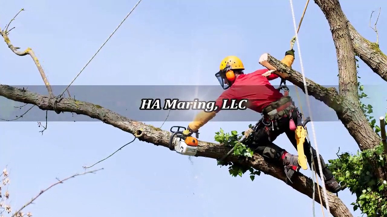 HA Maring, LLC