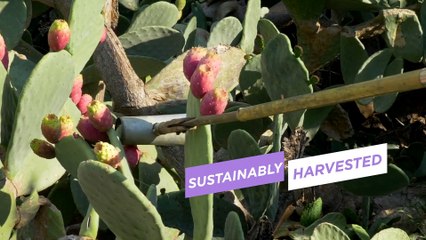 Tarte Corrector shape tape ultra creamy