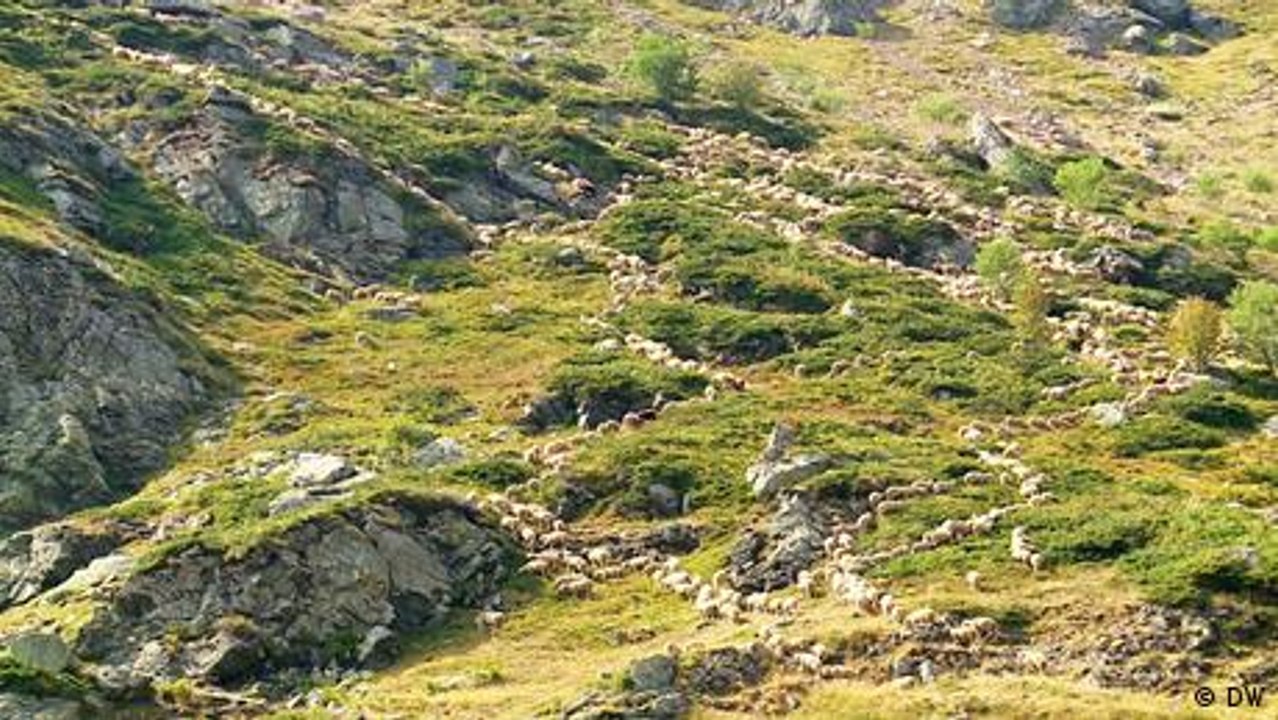 Protecting the Sharr Mountains in North Macedonia