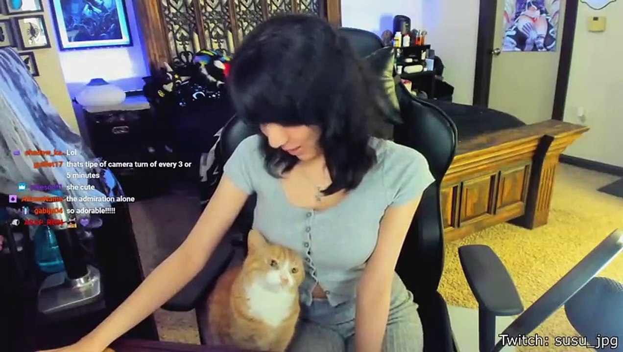 Friendly Cat Scares Away Delivery Man Funny Videos 2021 New Funny