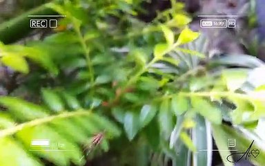 Love flows deeper than the river 