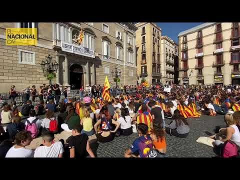 La manifestació estudiantil arriba a la Plaça Sant Jaume
