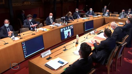 SCAF FCAS - audition PDG Dassault Eric Trappier au sénat - concessions insensées à l'Allemagne/Espagne - part 2