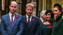 Prince William Defends UK Monarchy Against Racism Accusations in Unprecedented Way