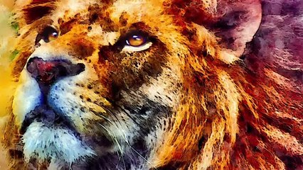 King of the Jungle Goes Under! Lion at a Dutch Zoo Undergoes a Vasectomy!