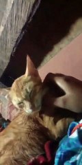 miming
