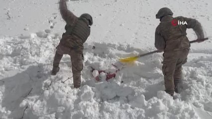 Jandarmadan PKK'nın finans kaynağına büyük darbe
