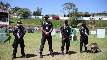 Olfato canino, al servicio de la lucha contra el covid-19 en Latinoamérica