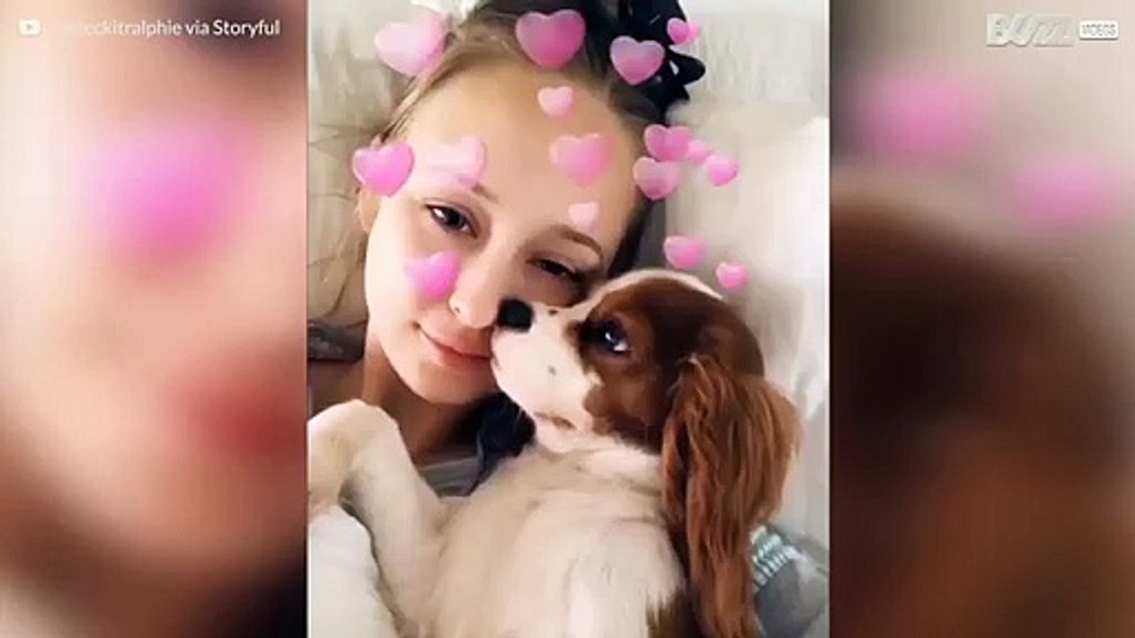 주인과 함께 셀카 찍는 것을 싫어하는 개