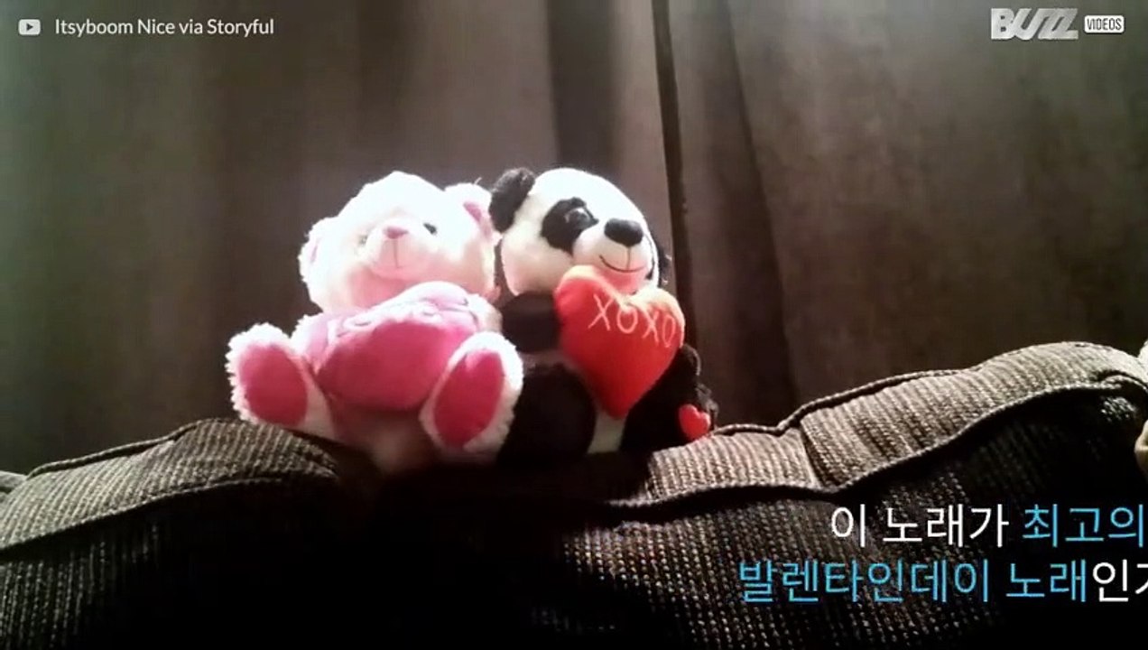 발렌타인데이를 맞아 귀여운 춤을 선보이는 테디베어들!