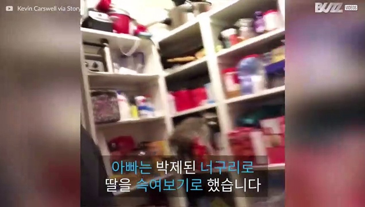 박제 너구리로 딸을 속이는 아빠