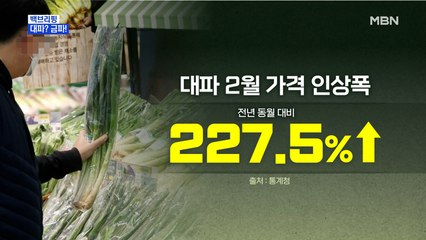 [MBN 프레스룸] 대파가 금값?…정육점에선 파채 '중단'