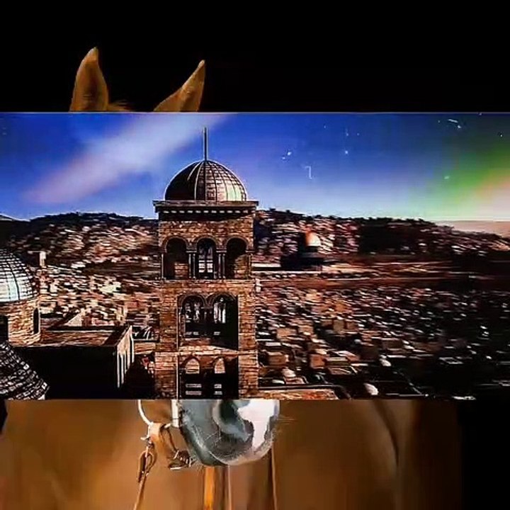 حمزة مدبوح