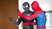 06.SUPERHERO vs GREEN-MAN Spider-Man, Venom and Deadpool Fighting New Bad Guy Người Nhện biến hình