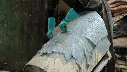 How animal hides are made into parchment at the last workshop of its kind in the US