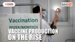 Pfizer vaccine production on the rise as pandemic hits one-year mark