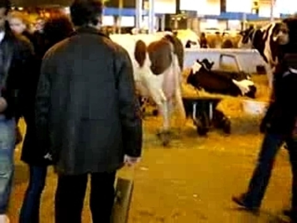 attention ou on marche!