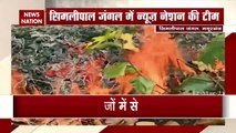 Odisha: Similipal forest fire in Odisha brought under control