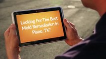 ALL US Mold Removal & Mold Remediation in Plano, TX