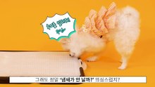 웰니스 킁킁제로