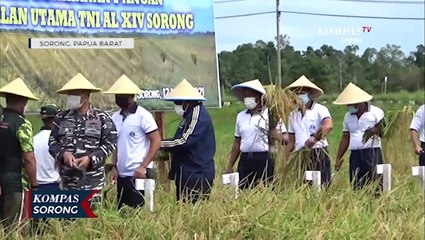 Panen Raya Padi Jaga Ketahanan Pangan