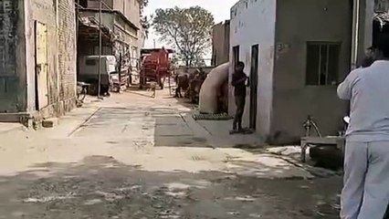 शाहजहांपुर : धारदार हथियार से लहूलुहान हालत मे मिला एक युवक का शव