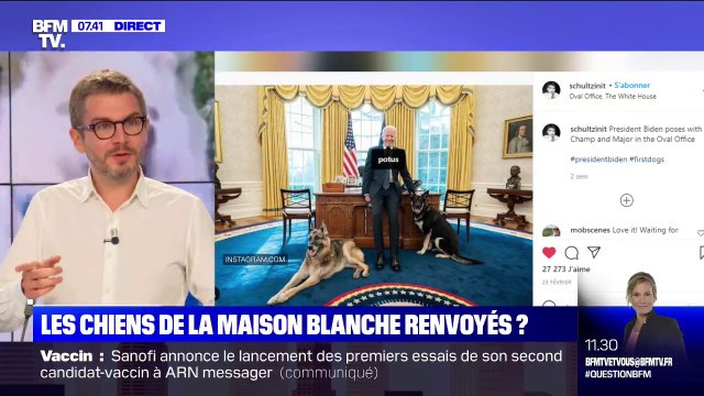 Les deux chiens de Joe Biden renvoyés de la Maison Blanche