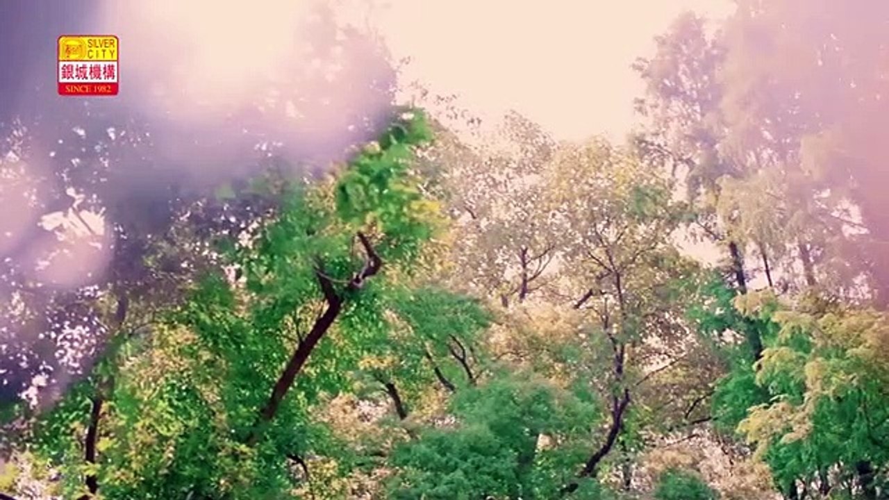 郭惠芬 - 爱你爱你