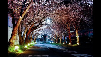 Qoom e Loot | قومِ لوط